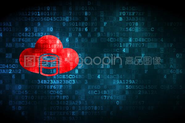 數字時代的數據基石 數據庫、網絡信息安全與軟件開發