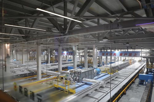 探秘新能源產(chǎn)業(yè)“超級(jí)工廠” 走進(jìn)福建紫金鋰元，解碼材料科技與創(chuàng)新動(dòng)能